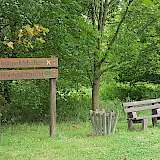Vom Bauhof gepflanzt und 25 Jahre gehegt und gepflegt - der Leopoldshöher Hochzeitswald.