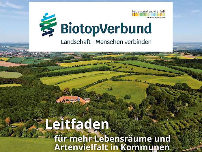 Leitfaden Biotopverbund