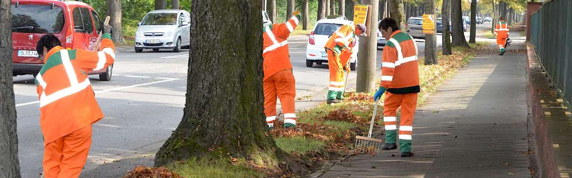 Laubbeseitigung Kommune Bauhof