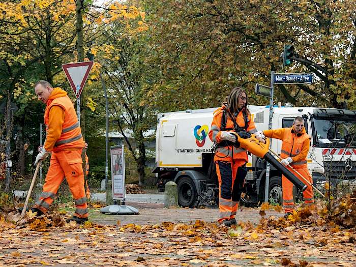 Laubbeseitigung auf dem Gehweg
