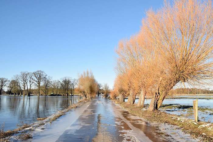 Hochwasser an einer Straße