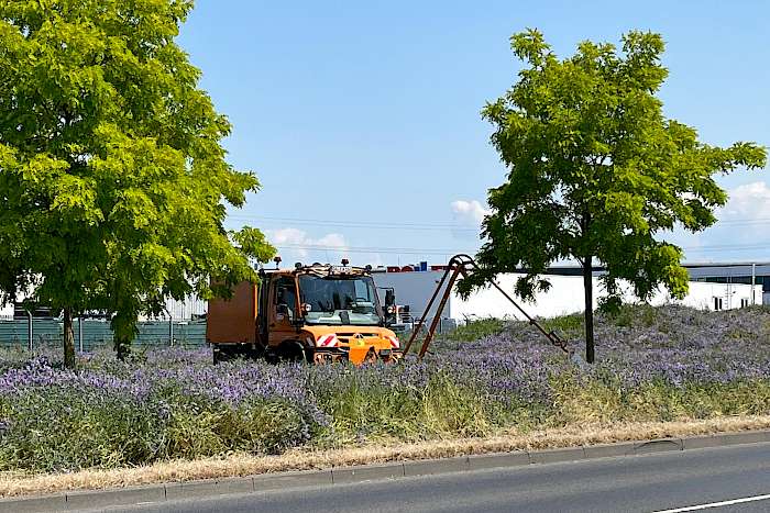 Unmiog bei der Baumbewässerung