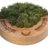 GreenCity Award Logo