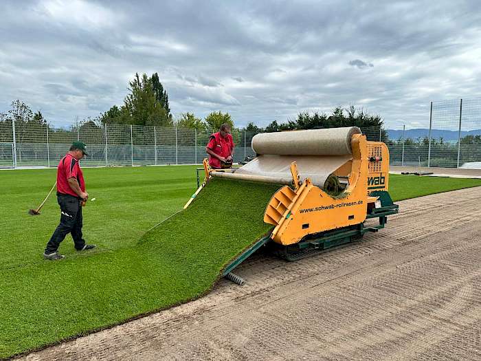 Rollrasenverlegung auf Sportplatz