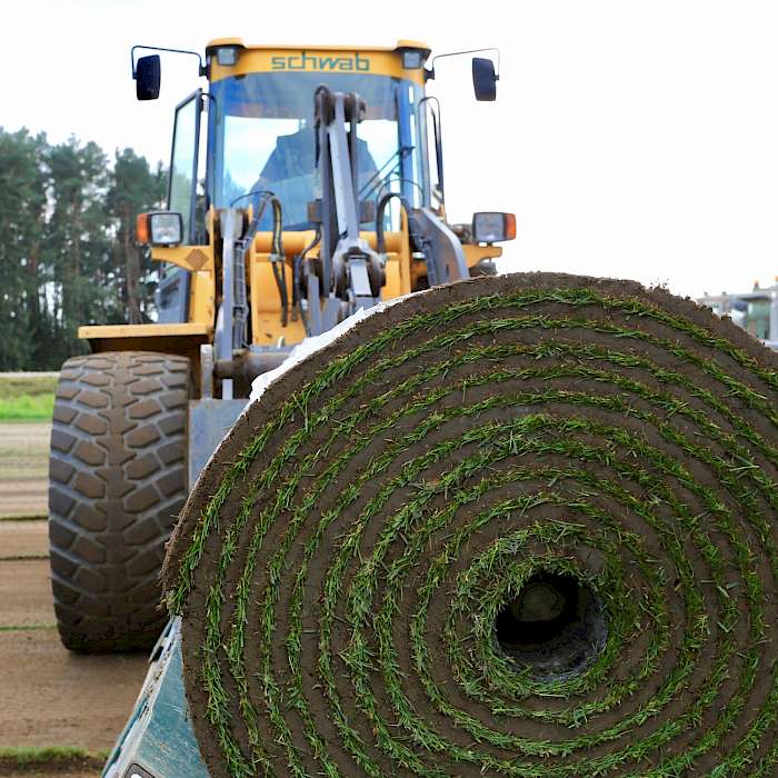 Jumborolle Rollrasen