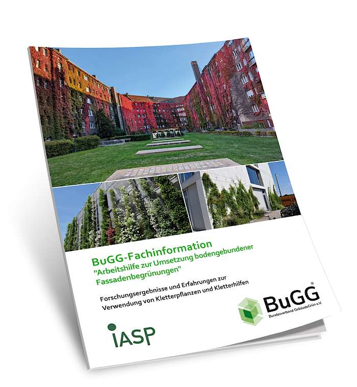 Cover BuGG-Fachinformation
